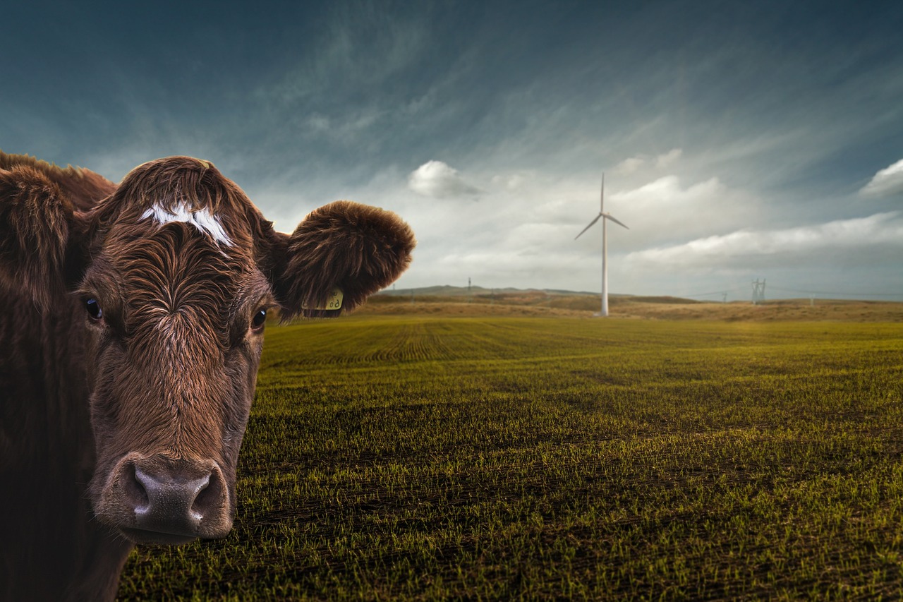entdecken sie leckere und gesunde vegane alternativen zu ihren lieblingsgerichten. nachhaltig, vielfältig und ohne tierische produkte – perfekt für eine bewusste ernährung.