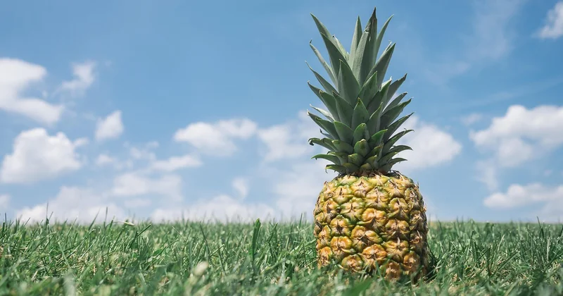 Ananas richtig zubereiten: So machen Sie es sicher