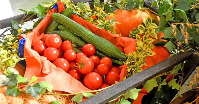 Pescetarier, Vegetarier, Flexitarier: wo genau verläuft die Grenze?