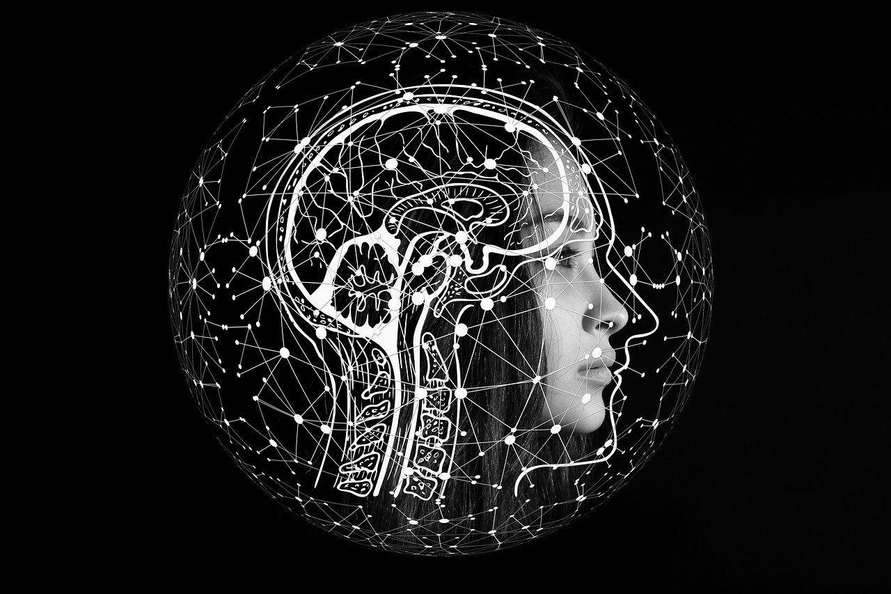 Künstliche Intelligenz im Alltag nutzen
