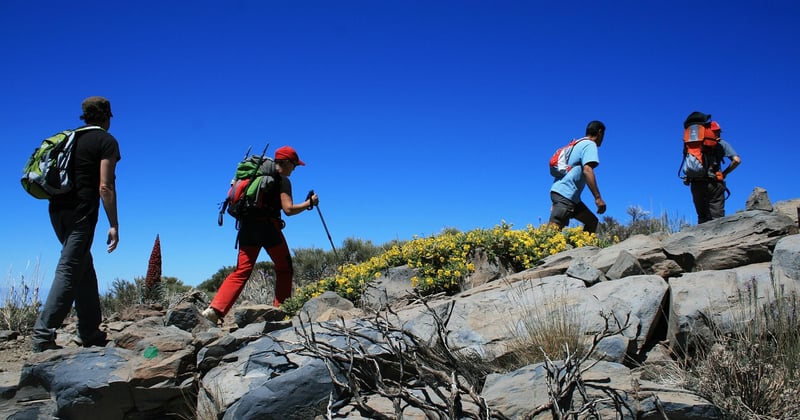 Geheimtipps Teneriffa: 15 Orte abseits der Touristenmassen