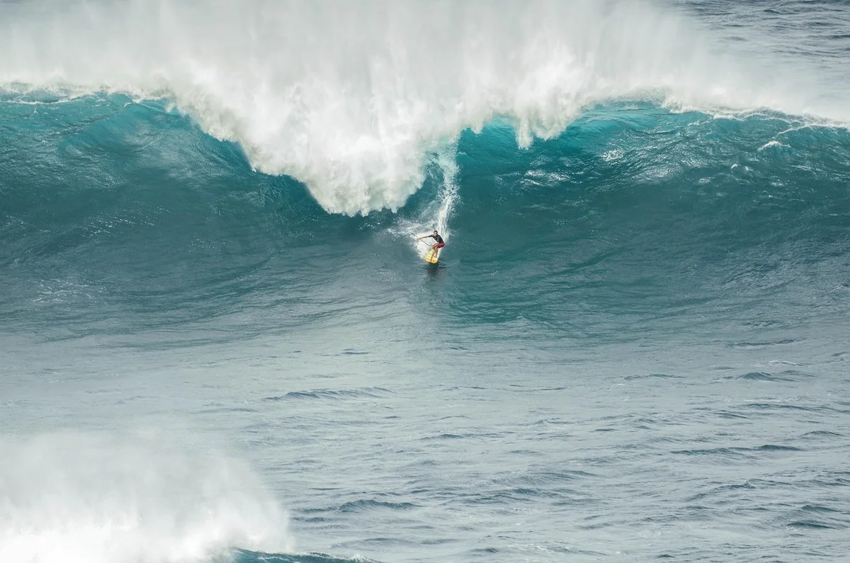 Surf and Turf Beilagen: was kommt auf den Teller?
