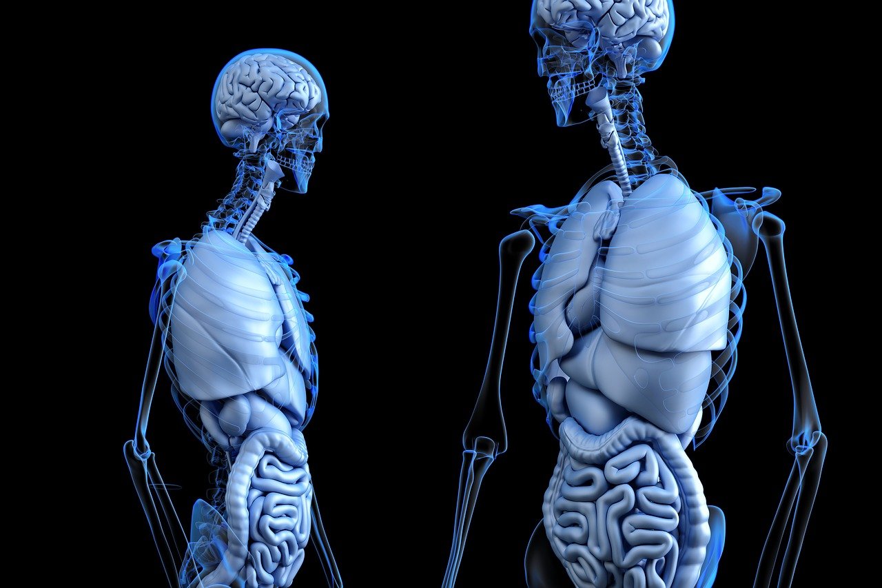 entdecken sie die bedeutung der darmgesundheit für ihr wohlbefinden. erfahren sie, wie eine ausgewogene ernährung und gesunde lebensgewohnheiten ihre verdauung und ihr allgemeines wohlbefinden fördern können.